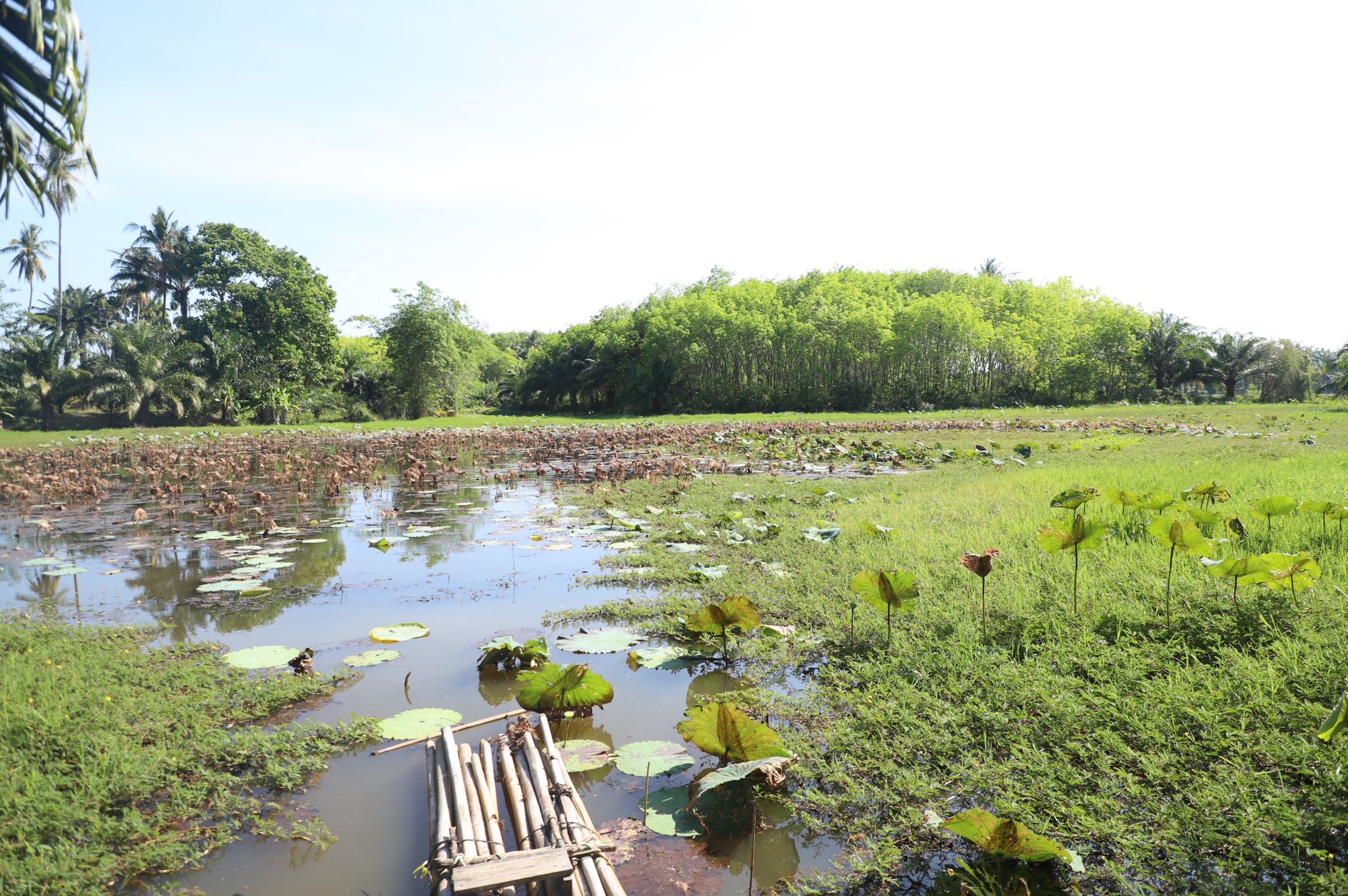 title - ข่าวดีชาวกระบี่ รมช.เกษตรฯ ลงพื้นที่ติดตามโปรเจกต์ยักษ์ ส.ป.ก. เร่งพัฒนาโครงสร้างพื้นฐานแปลงพื้นที่เป้าหมาย คทช. ในเขตปฏิรูปที่ดิน กว่า 4,300 ไร่ มุ่งสร้างอาชีพอย่างยั่งยืน